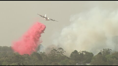 Australian bushfire emergency at South Turramurra