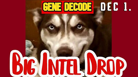 Gene Decode DUMBS - BIG Intel 12.01.2Q23