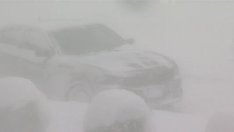 Buffalo blizzard conditions
