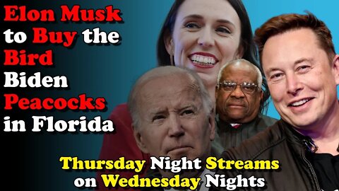 Elon to Buy the Bird Biden Peacocks in Florida - Thursday Night Streams on Wednesday Nights