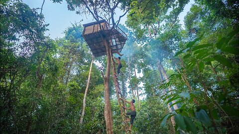 How We Built 18m Survival Tree house, Jungle Survival Treehouse Bushcrafts Building