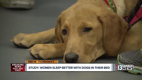 Study: Women sleep better with dogs by their side