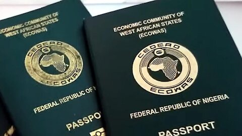 Nigerian Government Bans Nigerians From Getting Passports To Leave The Country (Raw Unedited Video)