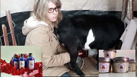Why we have Nigerian dwarf goat, milking goats and discussing products we make from goat milk