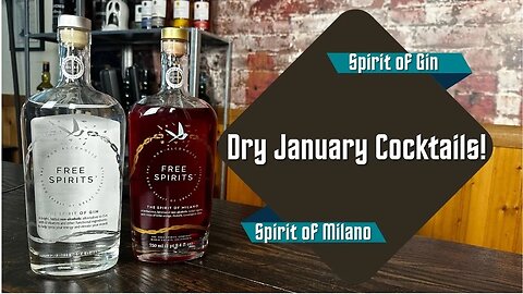 Dry January Cocktails with Free Spirits Gin and Milano making a Negroni!