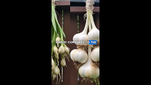 how to maintain betterhealth #chineasefood #chineasegarlic #healthfactsaboutgarlic #healthylifestyle