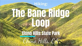 Hike #23: The Bane Ridge Loop, Chino Hills State Park, CA