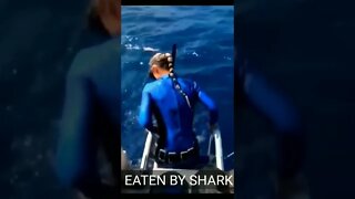 Aggresive Sharks attack