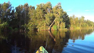 Kayak Fly Fishing Review of Lake Mariam in Polk County, Florida