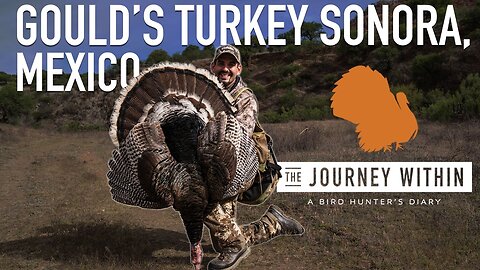 World Turkey Slam: Gould's Turkey Sonora Mexico | Mark V Peterson Hunting