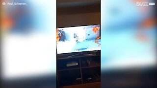 Dog loves watching owner play video game