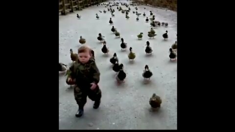 Funny duck run with cute baby-running race🦆