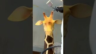 Girafa de chocolate! 🦒 Esta escultura 100% chocolate de 5,5 metros de altura #Shorts