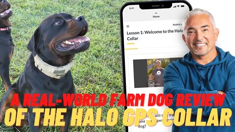 Halo GPS Collar 2.0+ Real World Farm Dog Review