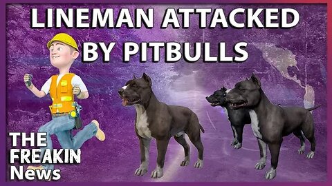 The Owner Of Pitbulls Arrested After Dogs Attack Lineman Working On His Property