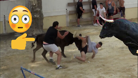 😠😠😠 Furiosos los toros más enojados correteando gente