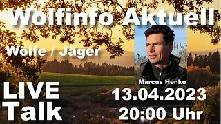 Wolfinfo Aktuell LIVE TALK 24 ( Wölfe & Jäger )