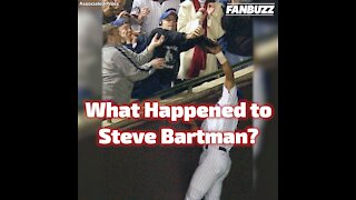What Happened to Steve Bartman?