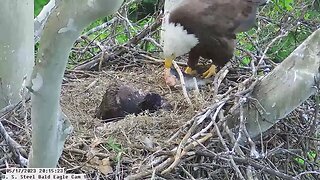 USS Bald Eagle Cam 1 5-17-23 @20:14:11 Irvin brings in large cat fish