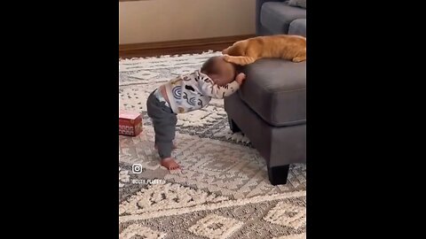 "Baby and Cat: Playful Moments and Mischievous Fights"