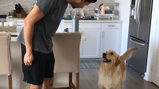 Puppy can't contain his excitement and it's the cutest thing ever