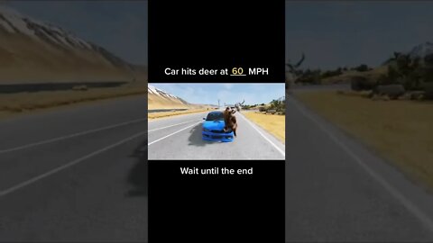 moose accident / BeamNG DRIVE