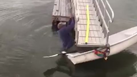 The Ultimate Struggle of Getting Out of a Boat