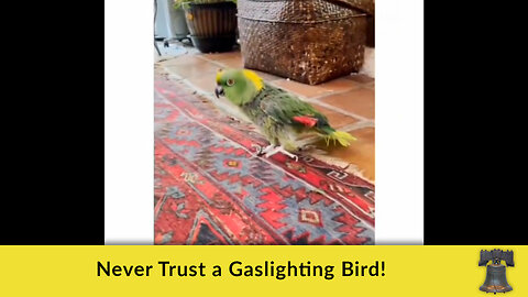 Never Trust a Gaslighting Bird!