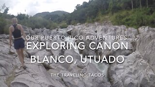 Looking For Petroglyphs in Cañon Blanco - The Traveling Tacos - Our Adventures in Utuado Puerto Rico