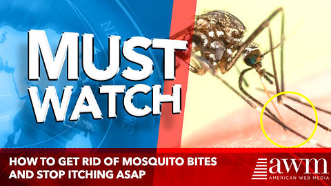 How to Get Rid of Mosquito Bites and Stop Itching ASAP