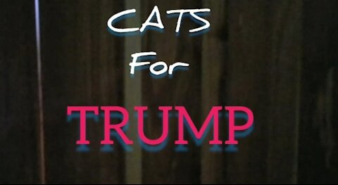 Cats for Trump/The Last Kracker