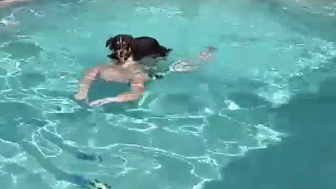Dog Hitches A Ride In The Pool!