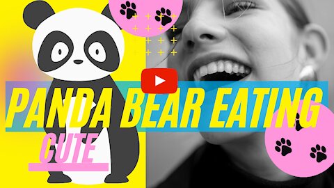 Panda Bear Eating