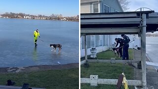 Playful Pup Rescued From Frozen Lake