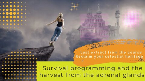 Survival programming and the harvest from the adrenal glands