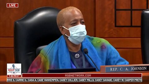 Democrat C. A. Johnson BUSTED INTIMIDATE WITNESS gets CALLED OUT by CHAIRMAN! Michigan House Hearing