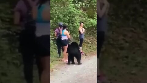 TERRIFYING! Black bear checking out hikers #caughtoncamera