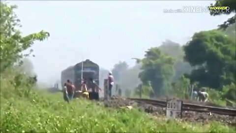 Animals That Got Hit By A Train