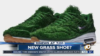 New shoe made out of grass?