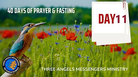 DAY 11 OUT OF 40 DAYS OF FASTING AND PRAYER