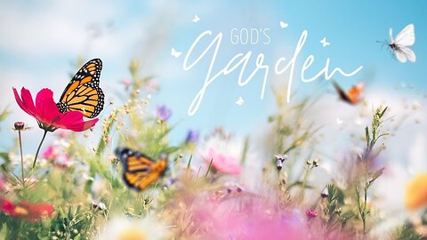Butterfly Oasis 🦋 God's Grace in Flight Relaxing Video Compilation