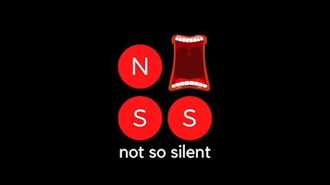 Not So Silent - Ep. 23 - Post Election Mess 11/4/20