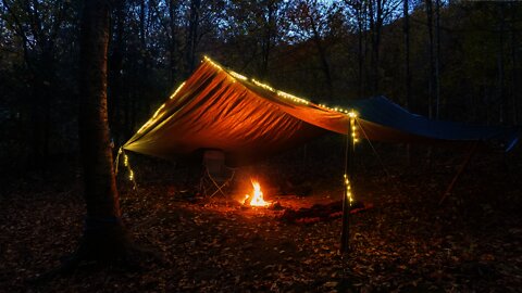 Bushcraft Solo Overnight Tarp Camping, building lean to shelter near Asheville.(Unintentional ASMR)
