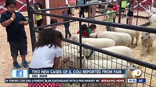 Two new cases of E. Coli reported from fair