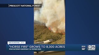 Horse Fire in Arizona has burned 8,300 acres