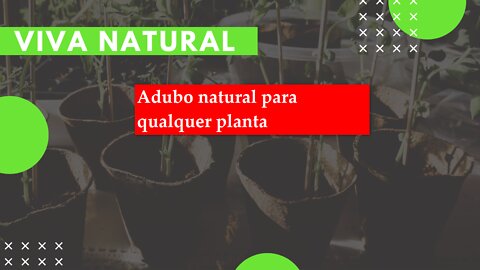 Video02 - Beginner home garden - Natural fertilizer for any plant / Video02 - Horta em casa iniciante - Adubo Natural para qualquer planta