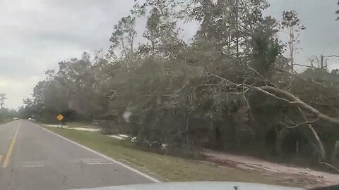 Lafayette County Florida Hurricane Idalia Devastates Area