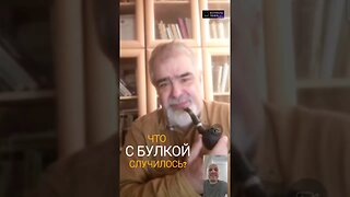 Что случилось с Булкой? #shorts