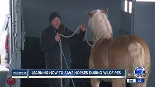 Rural Colorado horse owners training to evacuate their animals in case of a wildfire