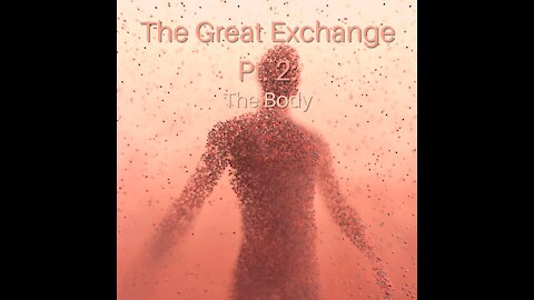 The Great Exchange Pt. 2: The Body
